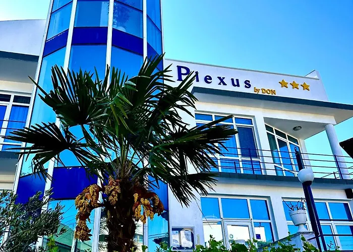 Plexus By Don